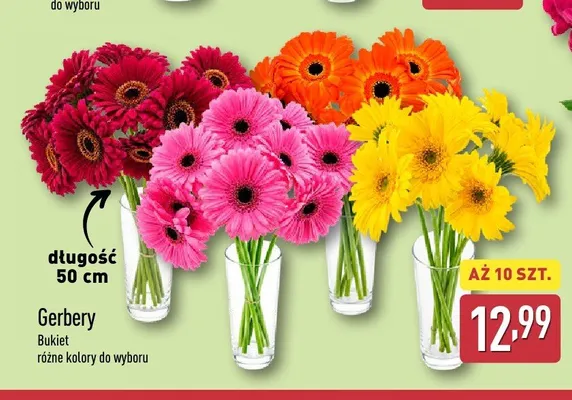 Bukiet gerber Gardenline 10-pak promocja w Aldi
