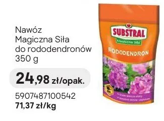 Nawóz Magiczna Siła do rododendronów promocja w Castorama