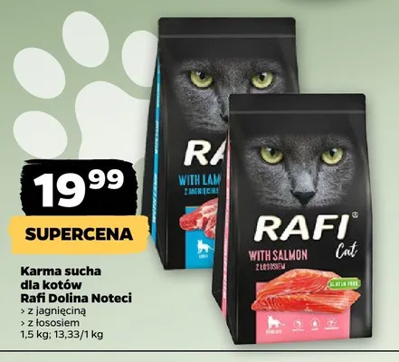Karma sucha dla kotów z łososiem promocja w Netto