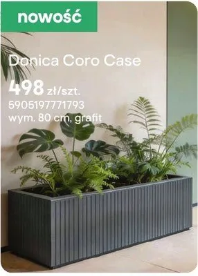 Doniczka Coro Case promocja w Castorama