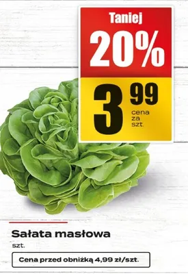 Sałata masłowa promocja w Supeco