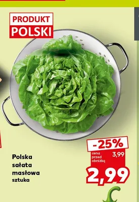 Sałata masłowa polska promocja w Kaufland
