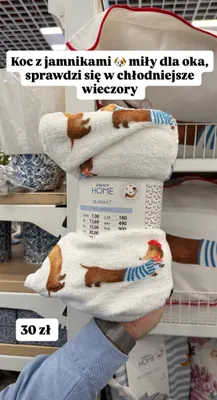 Koc z jamnikami 150 x 200 cm promocja w Pepco