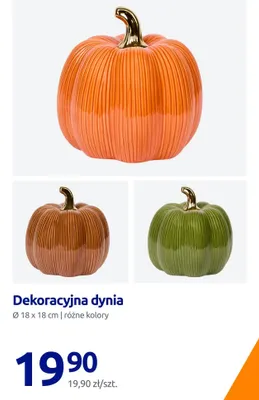 Dekoracyjna dynia promocja w Action