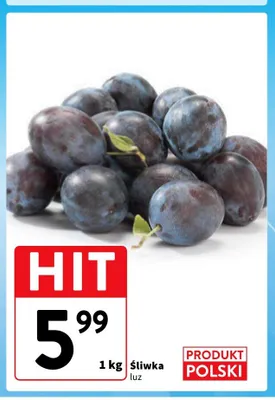 Śliwka luz promocja w Intermarche