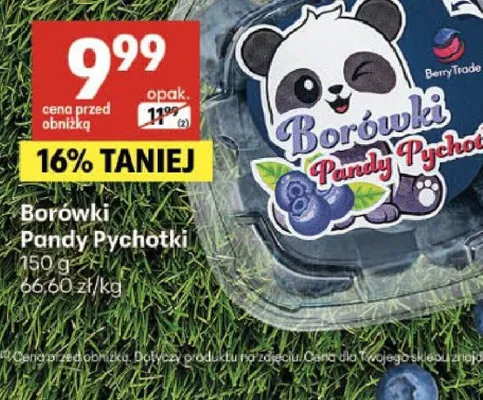 Borówki Pandy Pychotki Berry Trade promocja w Delikatesy Centrum