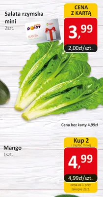 Mango promocja w Market Point