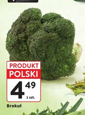 Brokuł polski promocja w Intermarche
