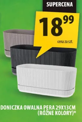 Doniczka owalna pera 29X13CM różne kolory promocja w Arhelan