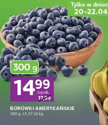 Borówki amerykańskie promocja w Stokrotka