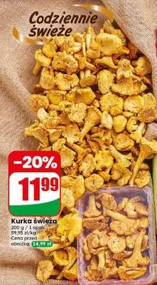 Kurka świeża promocja w Dino