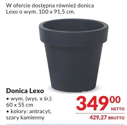 Donica Lexo promocja w Makro