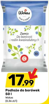 Podłoże do borówek 50 l promocja w Bricomarche