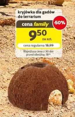 Kryjówka dla gadów do terrarium Repti Planet promocja w Super Zoo