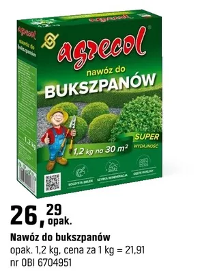 Nawóz do bukszpanów promocja w OBI