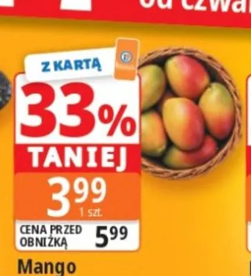 Mango promocja w Leclerc