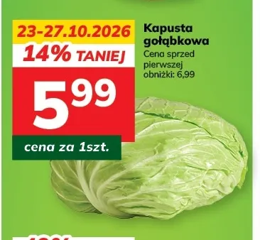 Kapusta gołąbkowa promocja w Hitpol