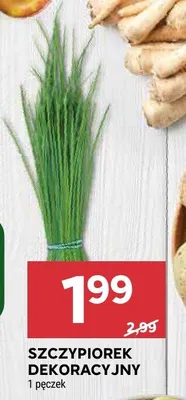 Szczypiorek dekoracyjny promocja w Stokrotka