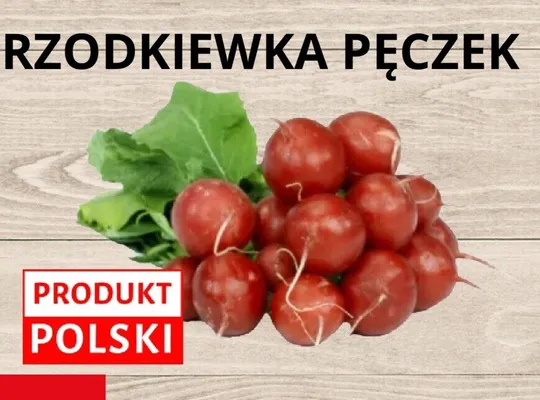 Rzodkiewka pęczek promocja w Supeco