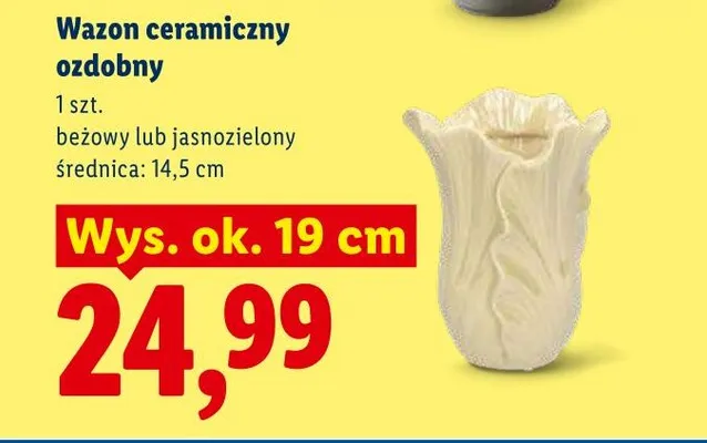 Wazon ceramiczny ozdobny jasnozielony promocja w Lidl