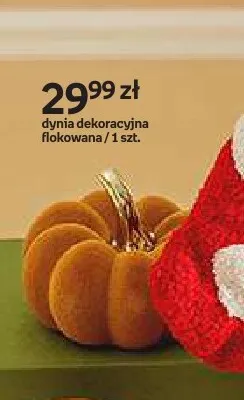 Dynia dekoracyjna flokowana Hello Autumn promocja w Empik