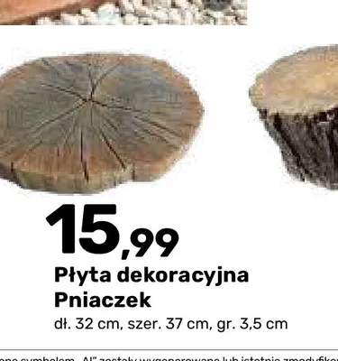 Płyta dekoracyjna Pniaczek promocja w Bricomarche