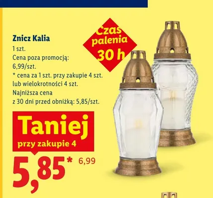 Znicz Kalia promocja w Lidl