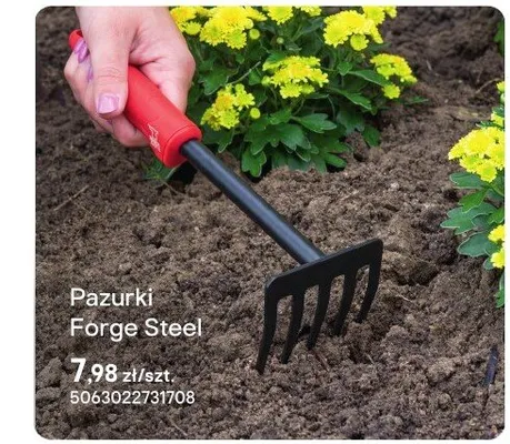Pazurki promocja w Castorama