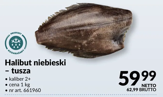 Halibut niebieski - tusza promocja w Makro
