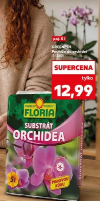 Substrat orchidea 5l promocja w Kaufland