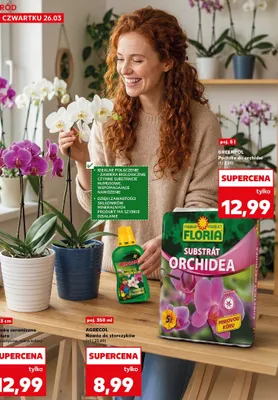 Nawóz do storczyków promocja w Kaufland