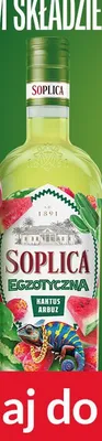 Wódka Soplica Egzotyczna Kaktus Arbuz promocja w Biedronka