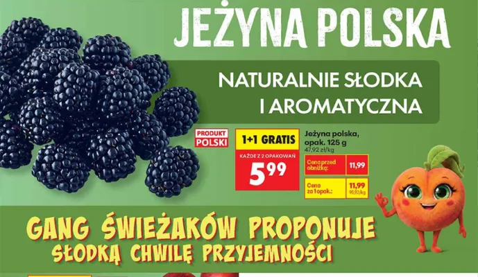Jeżyna polska promocja w Biedronka