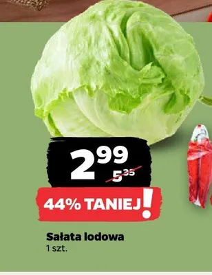 Sałata lodowa promocja w Netto