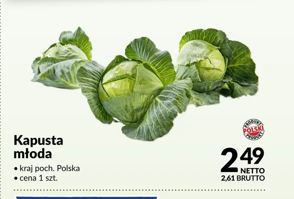 Kapusta młoda promocja w Makro