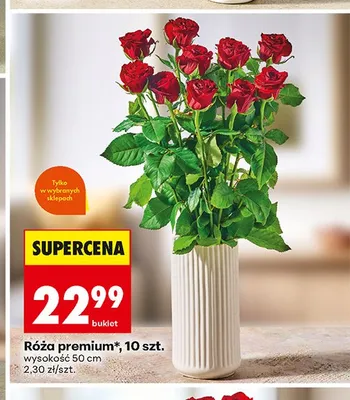 Róża premium 10-pak promocja w Biedronka