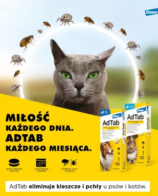 Gazetka, strona 9 promocja w Aquael zoo