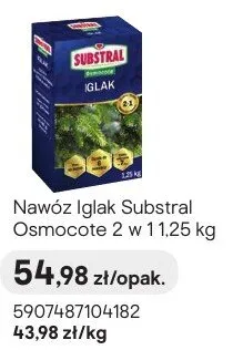 Nawóz Iglak Osmocote 2 w 1 promocja w Castorama