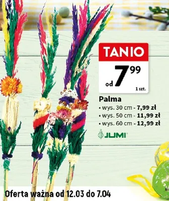 Palma wys. 30 cm promocja w Intermarche