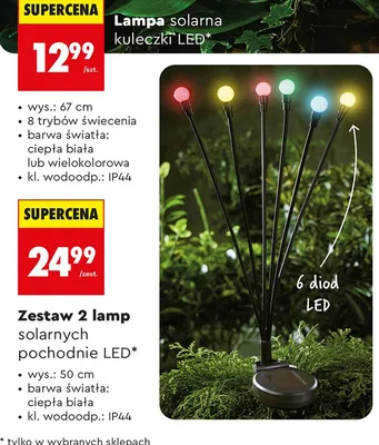 Lampa solarna kuleczki LED promocja w Biedronka