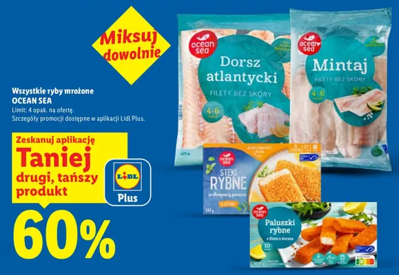 Ryby mrożone wszystkie rodzaje promocja w Lidl