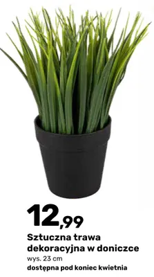 Sztuczna trawa dekoracyjna w doniczce promocja w Bricomarche