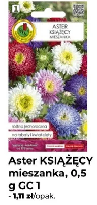 Aster książęcy mieszanka, 0,5g promocja w PSB Mrówka