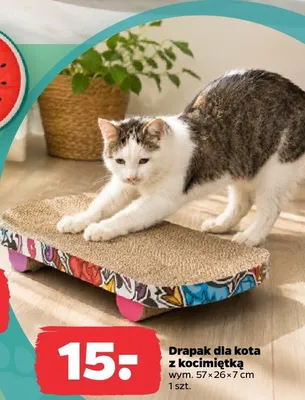 Drapak dla kota z kocimiętką Kitty promocja w Netto