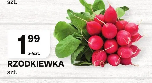 Rzodkiewka promocja w Chorten