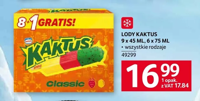 Lody Kaktus promocja w Selgros
