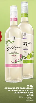 Wino białe/półwytrawne Botanicals Elderflower & Rose, Lavender & Lime promocja w Duży Ben