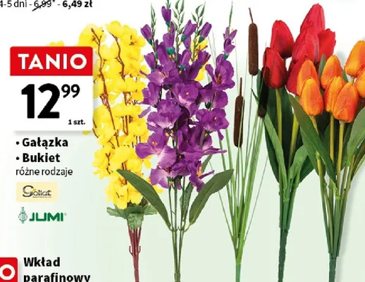 Gałązka różne rodzaje promocja w Intermarche