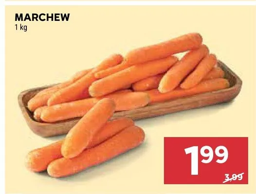 Marchew promocja w Stokrotka