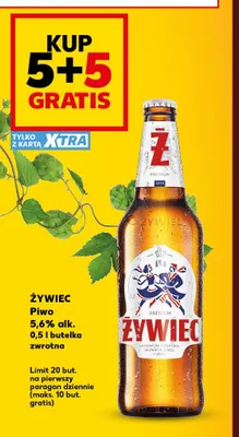 Piwo Żywiec 5,6% promocja w Kaufland